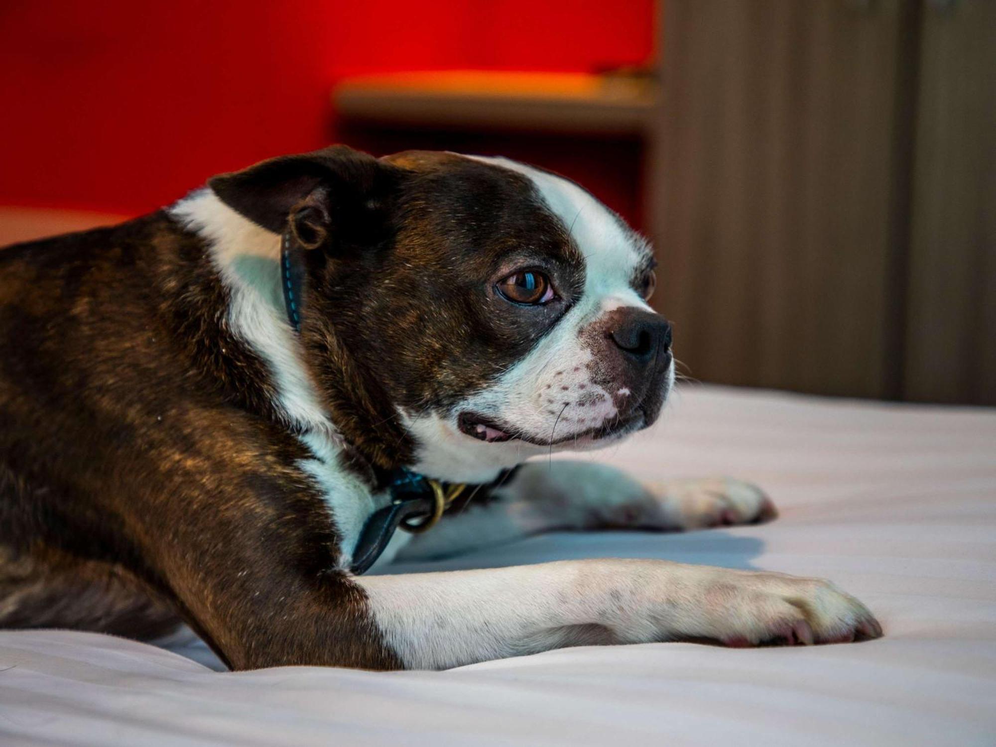 Ibis Styles Glasgow Central Екстериор снимка