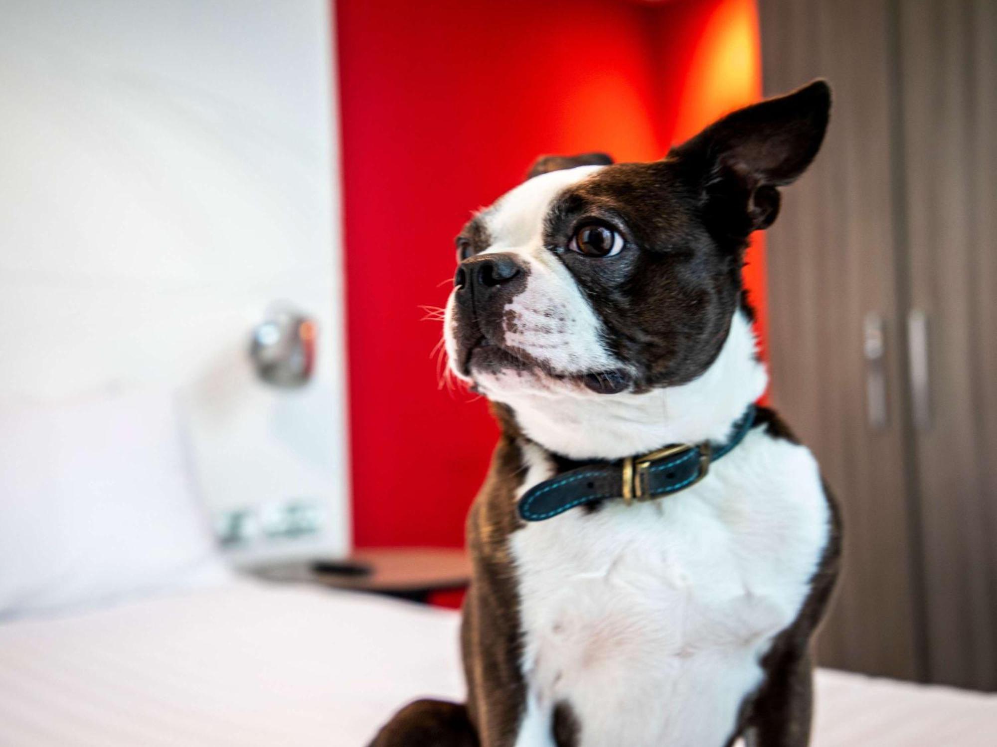 Ibis Styles Glasgow Central Екстериор снимка